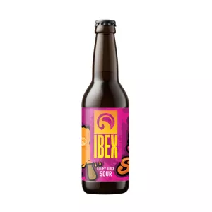 Bière Loopy Juice Sour - Brasserie Ibex